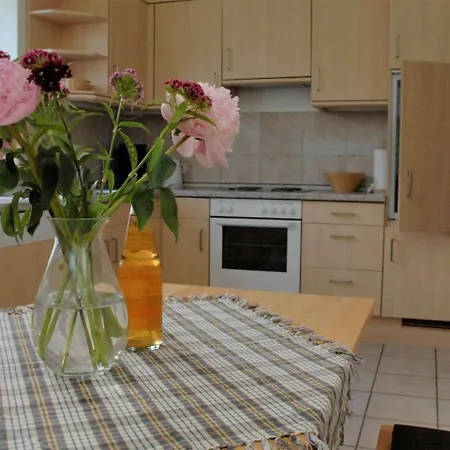 Grosse Ferienwohnung Auf Einem Reiterhof 公寓